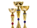 Кубок Awardee, большой, синий