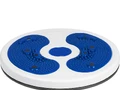 Диск здоровья вращающийся SpinTeam, белый с синим