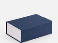 Коробка Bicolor Case, белая с синим