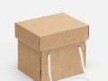 Коробка Kitbag, ver.2, крафт