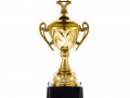 Кубок Top Star, золотистый