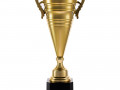 Кубок Recordsman, золотистый